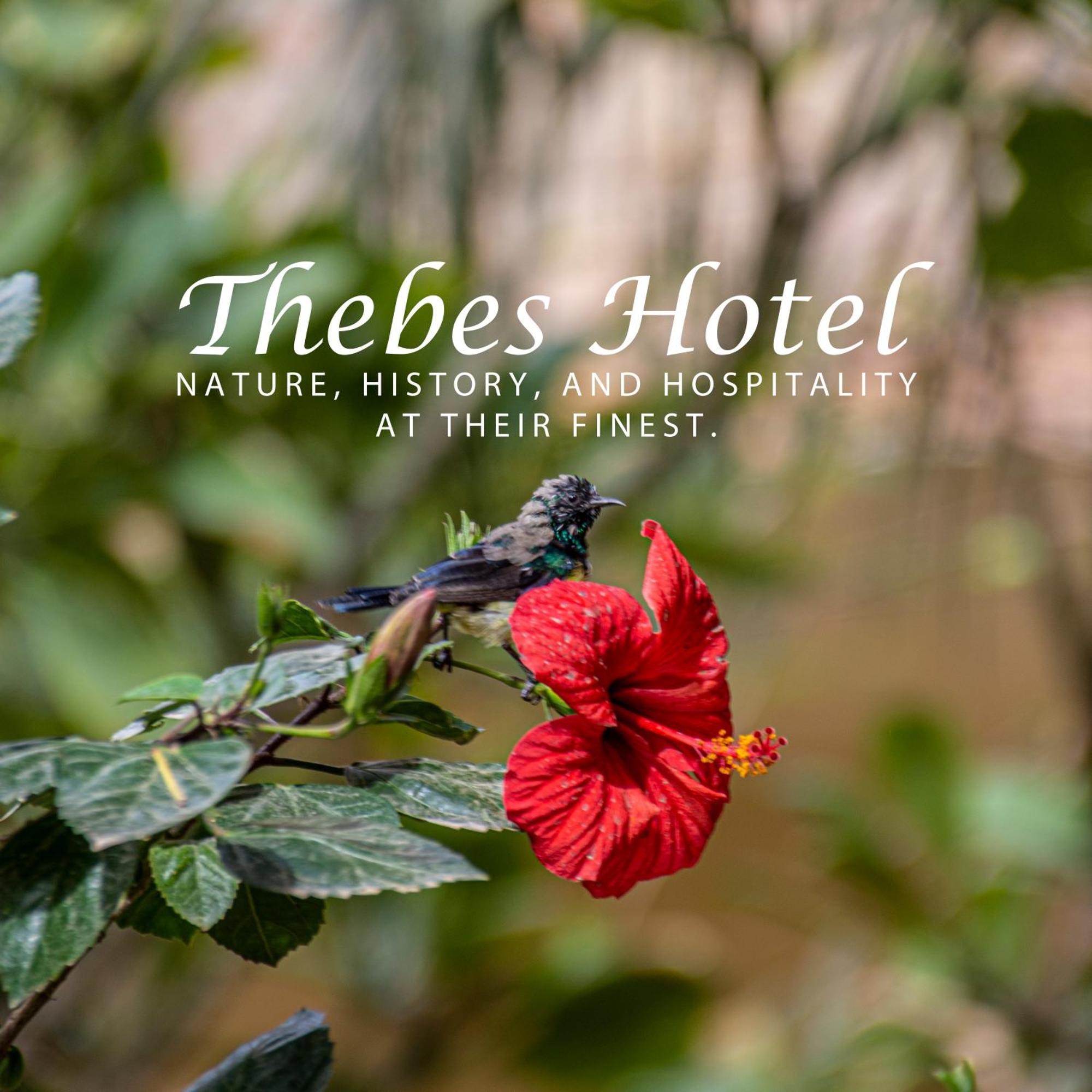 Thebes Hotel Luxor Exteriér fotografie